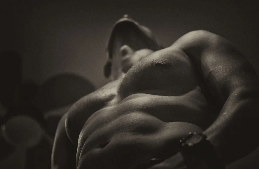 muscle